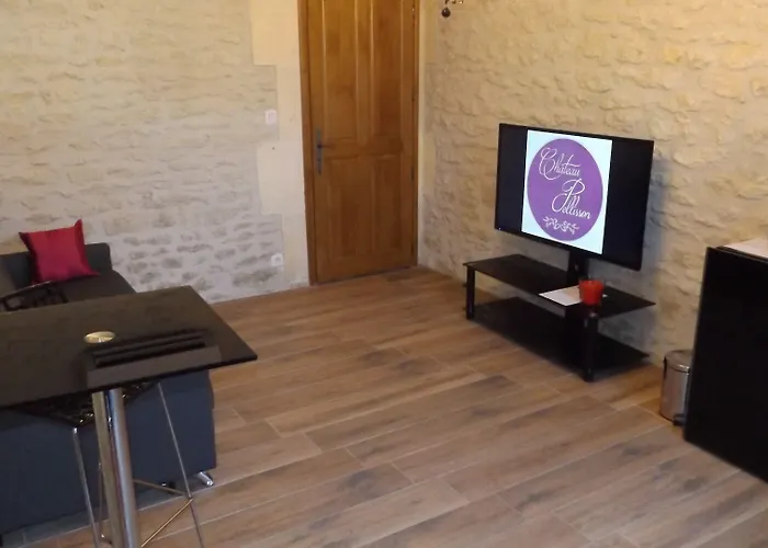 Bed & Breakfast Chateau Pellisson Cognac